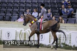 25R13_11656 thumbnail