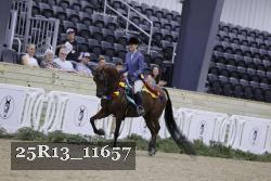 25R13_11657 thumbnail