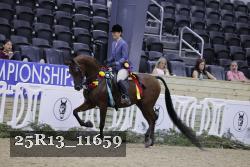 25R13_11659 thumbnail