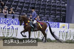 25R13_11660 thumbnail