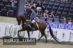 25R13_11661 thumbnail