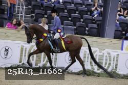 25R13_11662 thumbnail