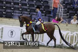25R13_11663 thumbnail