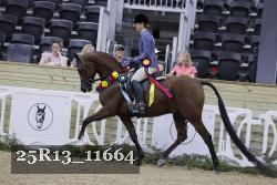 25R13_11664 thumbnail
