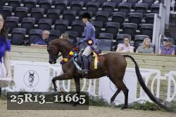 25R13_11665 thumbnail