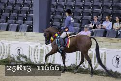 25R13_11666 thumbnail