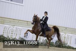 25R13_11668 thumbnail