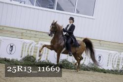 25R13_11669 thumbnail