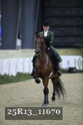 25R13_11670 thumbnail