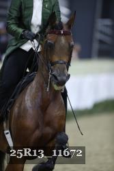 25R13_11672 thumbnail