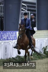 25R13_11673 thumbnail
