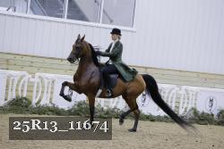 25R13_11674 thumbnail