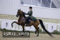 25R13_11675 thumbnail