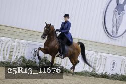 25R13_11676 thumbnail