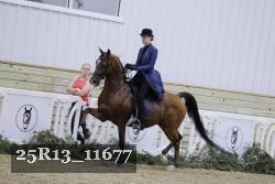 25R13_11677 thumbnail