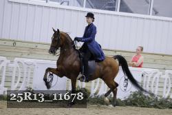 25R13_11678 thumbnail