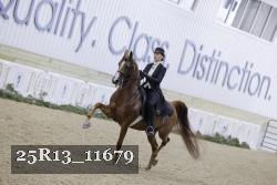 25R13_11679 thumbnail