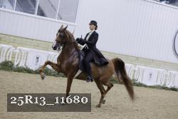 25R13_11680 thumbnail