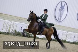 25R13_11681 thumbnail