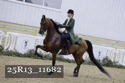 25R13_11682 thumbnail
