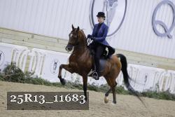 25R13_11683 thumbnail