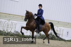 25R13_11684 thumbnail