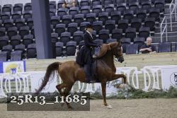 25R13_11685 thumbnail