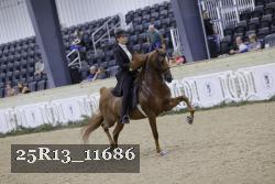 25R13_11686 thumbnail
