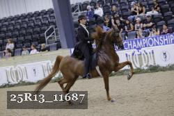 25R13_11687 thumbnail