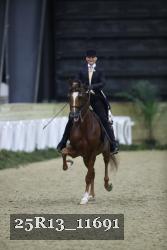 25R13_11691 thumbnail