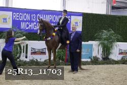 25R13_11703 thumbnail