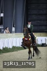 25R13_11705 thumbnail
