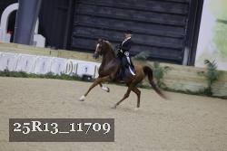 25R13_11709 thumbnail
