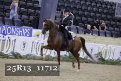 25R13_11712 thumbnail