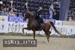 25R13_11713 thumbnail