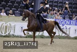 25R13_11714 thumbnail