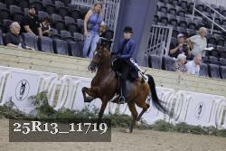 25R13_11719 thumbnail