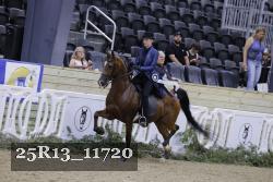 25R13_11720 thumbnail