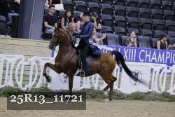 25R13_11721 thumbnail