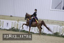 25R13_11724 thumbnail