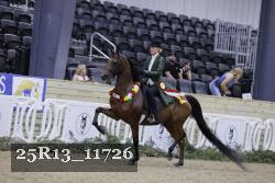 25R13_11726 thumbnail