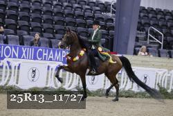25R13_11727 thumbnail