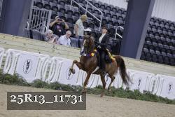 25R13_11731 thumbnail