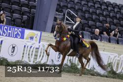 25R13_11732 thumbnail