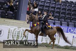 25R13_11734 thumbnail