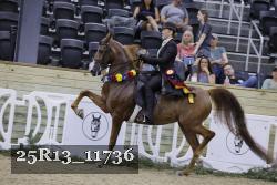 25R13_11736 thumbnail
