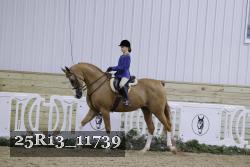 25R13_11739 thumbnail