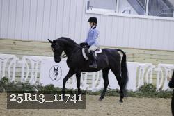 25R13_11741 thumbnail