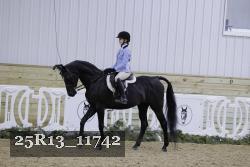 25R13_11742 thumbnail