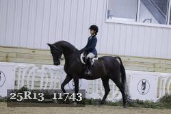 25R13_11743 thumbnail